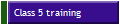 Class 5 training